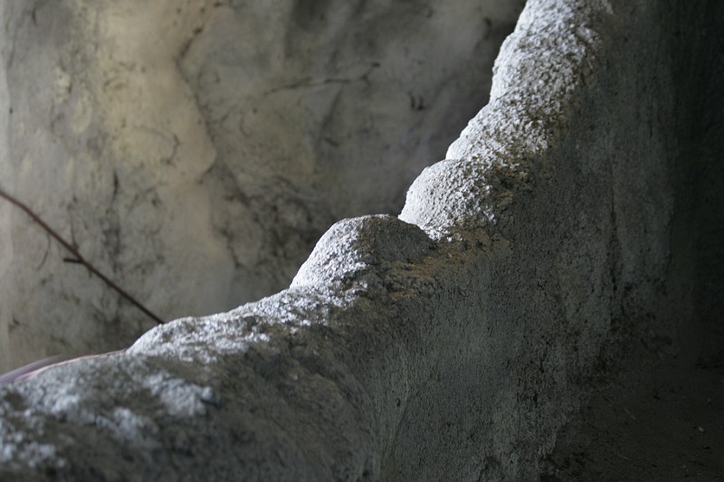 Fotoclubje Blijdorp 2008-151.jpg